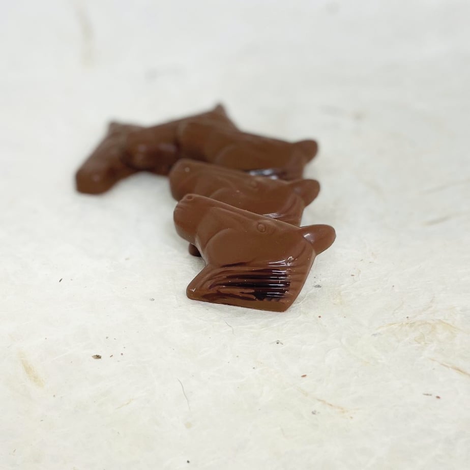 paardenkop praliné feuilletine artisanale chocolade hand made