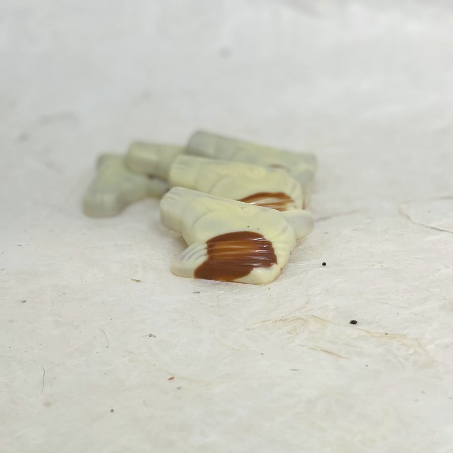 paardenkop wit met geraspte kokos artisanale chocolade hand made