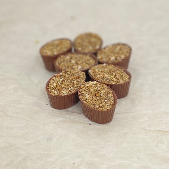 bresilienne praliné